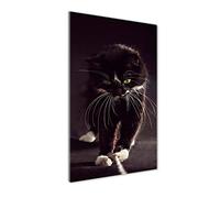Tulup - Impression sur Verre Acrylique - 50x100 - Image sur Verre - Déco Mural derrière Le Plastique - Tableaux pour la Mur - Mural Art - Décoration - Animaux - Noir - Chat Noir