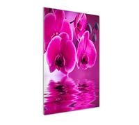 Tulup - Impression sur Verre Acrylique - 50x100 - Image sur Verre - Déco Mural derrière Le Plastique - Tableaux pour la Mur - Mural Art - Décoration - Fleurs et Plantes - Rose - Orchidée Rose