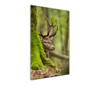 Tulup - Impression sur Verre Acrylique - 70x140 - Image sur Plexiglas - Déco Mural derrière Le Plastique - Tableaux pour la Mur - Mural Art - Décoration - Animaux - Vert - cerf