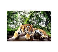 Tulup Impression sur Verre de 100x70 cm Image Tableau Photo décorative panoramique pour la Cuisine et Le Salon - Animaux - Tigre sur Le Rocher - Brun
