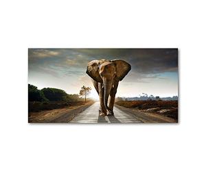 Tulup Impression sur Verre de 120x60 cm Image Tableau Photo décorative panoramique pour la Cuisine et Le Salon - Animaux - Eléphant Qui Se Promène - Brun