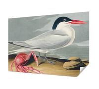 Tulup Papier Peint Adhésif avec Motif 208x146 cm pour Chambre à Coucher et Salon Décoration Intérieure Pose Murale Panoramique Haute Qualité Résistante aux Taches - Paysages marins