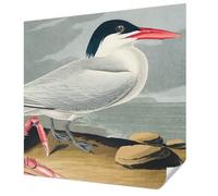 Tulup Papier Peint Adhésif avec Motif 250x250 cm pour Chambre à Coucher et Salon Décoration Intérieure Pose Murale Panoramique Haute Qualité Résistante aux Taches - Paysages marins