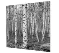 Tulup Papier Peint Intissé 250x250 cm Décoration Intérieure pour Chambre à Coucher et Salon Colle Incluse Impression de Haute Qualité Facile à Nettoyer Pose Murale - forêt de bouleaux