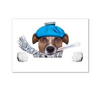 Tulup Tirages sur Toile - Art Mural - tirages sur Toile - thème d'image - 100x70 cm - Animaux - Bleu - Chien Malade
