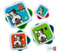Lot de 4 boites gigognes scruff tumtum