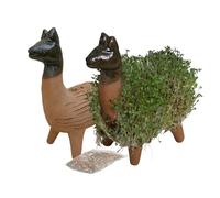 Tumia LAC Figurine pour Faire Pousser Votre Propre cresson Différents Animaux. avec graines de cresson. Commerce équitable du Mexique.