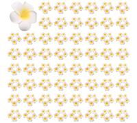 Tuminfar 1000 PièCes SéRies Mousse Blanche Frangipanier HawaïEn Artificiel Plumeria Fleur PéTales Casquette Chapeau de Cheveux Couronne Bricolage DéCoration de Mariage 5 cm