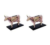 Tuminfar 2X Modèle D'Anatomie D'Organe Animal 4D Vache Intelligence Assemblage Jouet Enseignement Modèle D'Anatomie Vache Assemblé Modèle Animal