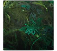 Tunico Tunico (Vinyl) 12" Album