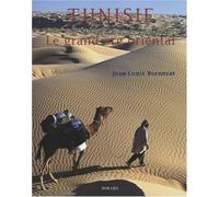 Tunisie : Le grand erg oriental