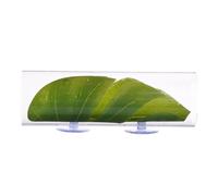 Tunnel bêta d'aquarium transparent pour animaux de compagnie, foyer avec tapis en feuilles, décoration de voie navigable, abri d'élevage, décoration de poissons.