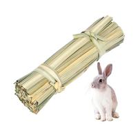 Tunnel d' pour hamster | Maison tunnel pour hamster | Base secrète pour l'entraînement | Lapins nains et dragons barbus et autres animaux de compagnie de poche