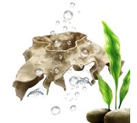 Tunnel pour crevettes d'aquarium,Tunnel cachette réaliste de Betta,Accessoires Aquarium | Nourriture Repos Cache Combattant Poisson Eau Douce