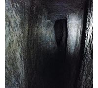 Tunnel Vision [12 Inch Analog]