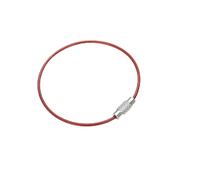 TUOKLNC Porte-clés en acier inoxydable de 2 mm avec verrou à vis de 15 cm, porte-clés robuste pour camping, randonnée, outils clés EDC, bleu, 20cm 10pcs