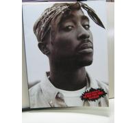 Tupac Amaru Shakur: 1971-1996