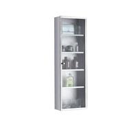 TUPAFJU Armoire Murale en Acier Inoxydable avec Porte vitrée, Meuble de Rangement étroit à 4 étagères pour la Cuisine, Armoire à Pharmacie étanche pour Salle de Bain(80 * 25cm/31.4 * 9.8in)