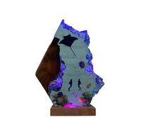 TUPOSTAR Plongeur Requin Veilleuse LED Océanique Lampe Océanique en Résine Époxy Mer Profonde Veilleuse Plongeur Veilleuse Décorative pour Chambre À Coucher,10,9X6IN