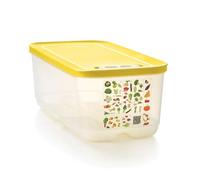 Tupperware Boîte VentilOfrais 6,1 L - Conservation Fruits Légumes - Système ACE Ventilation - Plastique Sans BPA - 38x18,8x13,5 cm - Qualité Professionnelle