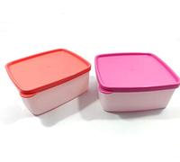 Tupperware Cool N Fresh Lot de 2 boîtes en plastique pour réfrigérateur et congélateur avec mouchoir 450 ml