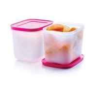 Tupperware Essentials Freezer Mates Lot de 2 boîtes de conservation alimentaire - 1,1 L - Organisez l'espace du congélateur - Couvercle hermétique et sans gel - Durable et réutilisable - Facile à