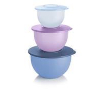 Tupperware Impressions Classic Lot de 3 bols de conservation pour aliments Bleu et violet Passe au lave-vaisselle et sans BPA (3 récipients, 3 couvercles)