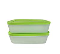 Tupperware Lot de 2 boîtes pour congélateur, 1 l, vert/blanc, plat, cristal de glace