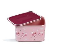 TUPPERWARE Quadro 1,3 L rose motif Disney boîte boîte à provisions + TAMIS DE LAVAGE
