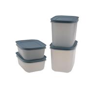 Tupperware Récipient de congélation 450 ml (2) + 1,1 L (2) Cristal de Glace Bleu Fumé