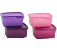 Tupperware Tupin Keep Tab Plastic Container Set (500 ml, Multicolour) -Set of 4