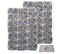 TURAOHU Lot de 2 lits pour cochon d'Inde double couche en polaire corail doux et doux pour la peau, convient pour les petits animaux tels que les lapins et les hamsters (32,6 x 24,9 cm)