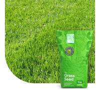 Turbo Green: Semence Gazon Regarnissage | 5 kg - 250 m² | Germination rapide | Gazon dense et bien vert | Grande tolérance au piétinement