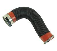 TURBORURY Compatible/remplacement pour tuyau refroidisseur intermédiaire Turbo Renault Master III 2.3 DCi Opel Movan B 2.3 CDTi Nissan NV400 8200730407 8200730404 144600828R