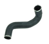 TURBORURY Tuyau de rechange pour refroidisseur turbo Citroën C8 Peugeot 807 2.2 HDI Lancia Phedra 2.2 JTD Fiat Ulysse 2.0 JTD 55030273