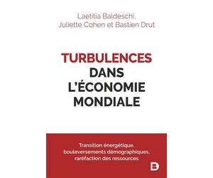Turbulences dans l'économie mondiale Transition énergétique, bouleversements démographiques, raréfaction des ressources - Laetitia Baldeschi - De Boeck Supérieur - broché - Essai