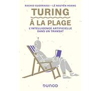 Turing à la plage - L'intelligence artificielle dans un transat: L'intelligence artificielle dans un transat