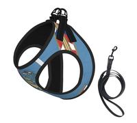 Turks And Caicos 04 Print Pet Supplies Harnais réglable en maille respirante pour chiens de petite et moyenne taille S-L