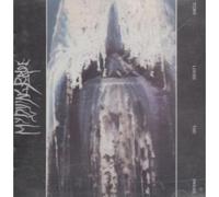 Turn Loose The Swans (1993) [Import]