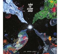 Turn To Clear View CD