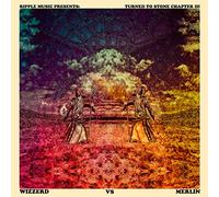 Turned to Stone - Chapter III: Wizzerd Vs..