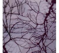 Turner, Joe - Between Two Seconds