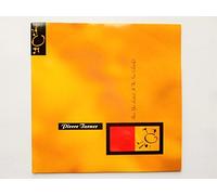 Turner, Pierce - Turner, Pierce Have You Looked At The Sun Lately 7" Beggars Banquet BEG231 EX/EX 1989 picture sleeve