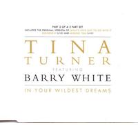 Turner, Tina - in Your Wildest Dreams [Import]