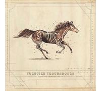 Turnpike Troubadours – A Long Way from Your Heart – CD – Alive AG