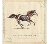 Turnpike Troubadours - A Long Way from Your Heart (Double LP)