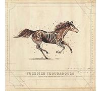 Turnpike Troubadours - A Long Way From Your Heart [New Vinyl LP]