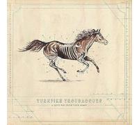 Turnpike Troubadours - Turnpike Troubadours - A Long Way From Your Heart