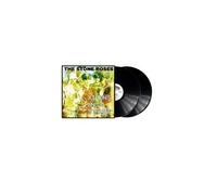 Turns Into Stone Vinyle