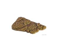 Exo Terra Plage mobile Turtle Bank pour tortues avec aimants Moyen 30x18x5 cm